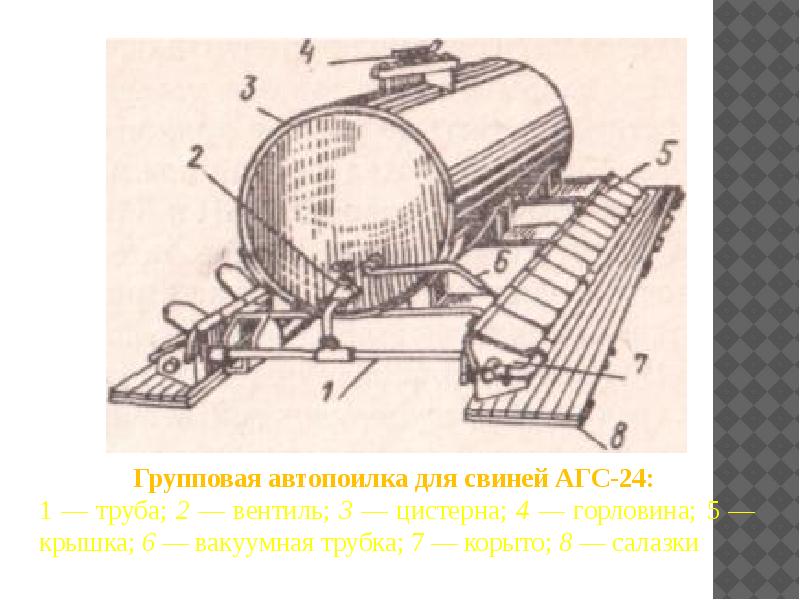 Чертеж поилки для свиней