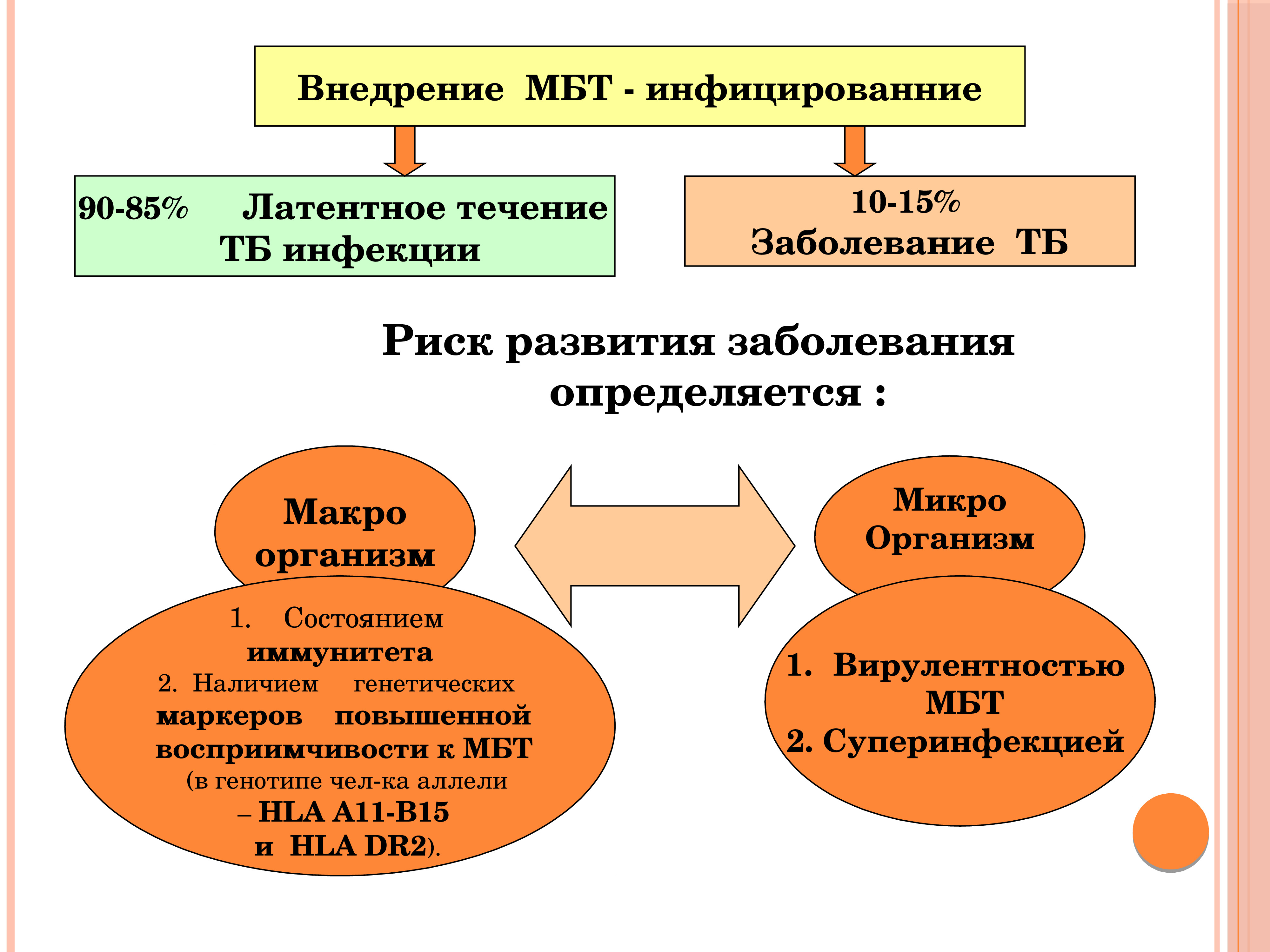 Презентация иммунодиагностика туберкулеза