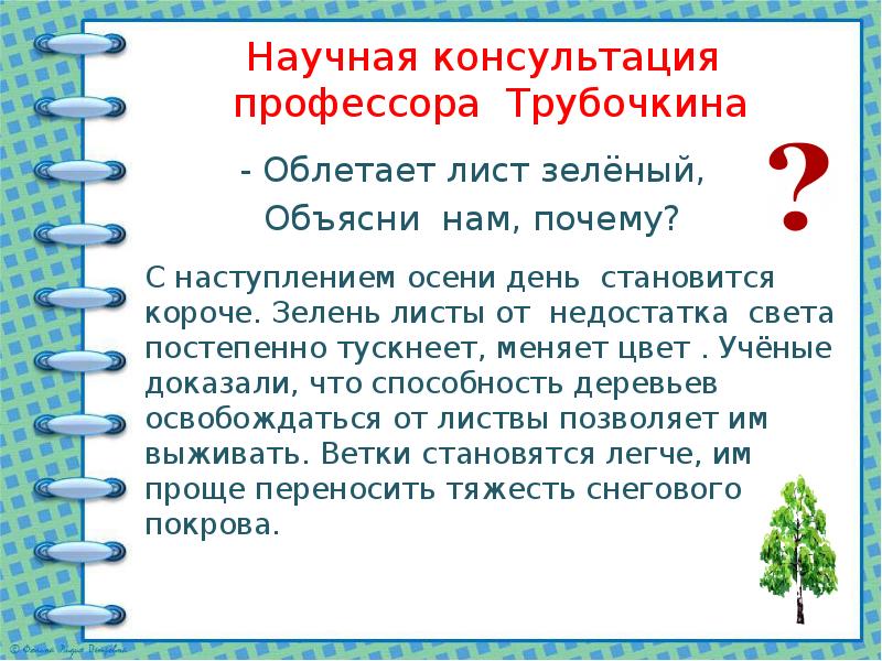 Консультация профессора. Почему облетает лист зеленый. Почему облетает лист зеленый 2 класс. Облетает лист зелёный объясни нам почему. Почему лист зелёный облетает облетает.