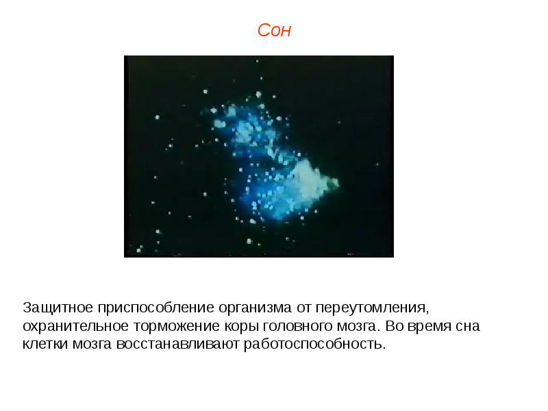 Высшая нервная деятельность презентация пименова