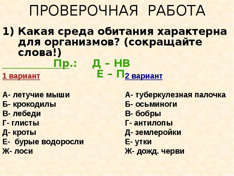 5 какая среда. Слово организм. Проверочная работа презентация. Проверочная работа слайд. Какая среда.