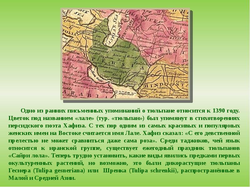Эпоха тюльпанов относится к истории тест