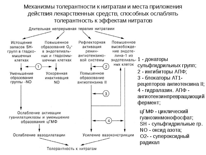 Антиангинальные средства фармакология презентация