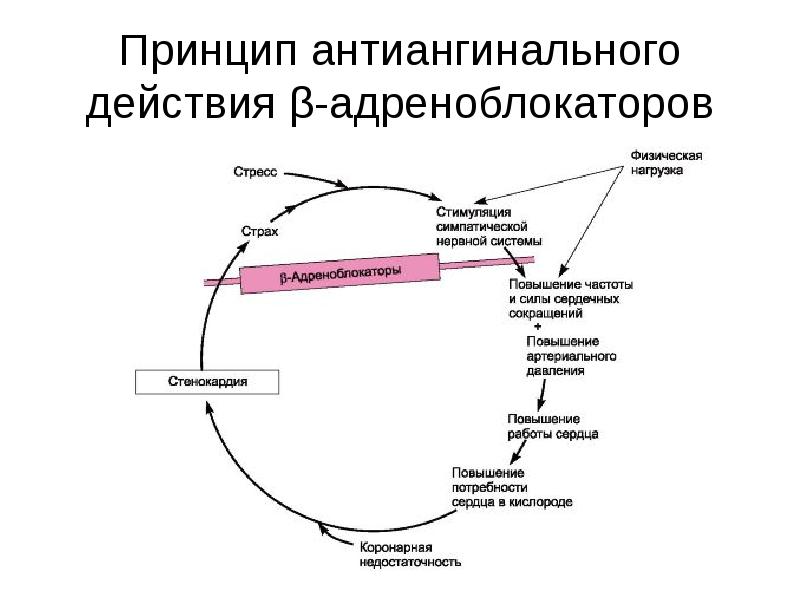 Презентация антиангинальные препараты