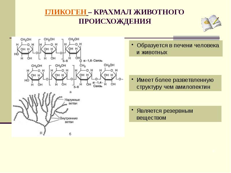 Презентация по полисахаридам