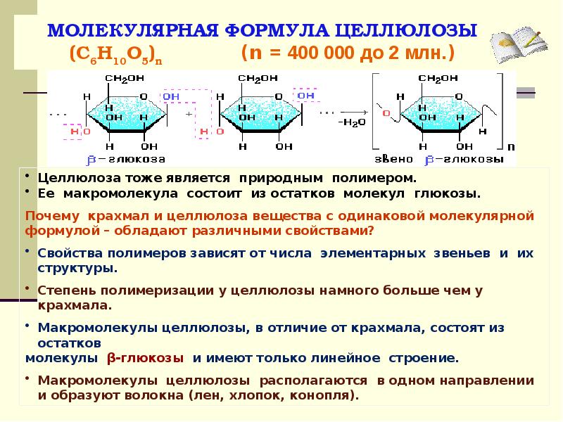 Продуктом гидролиза целлюлозы является. Полисахариды формула Целлюлоза. Формула динитрата целлюлозы. Крахмал гликоген Целлюлоза формулы. Полисахариды крахмал и Целлюлоза.