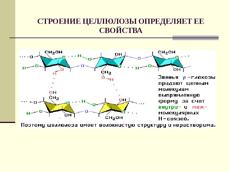 Презентация по теме целлюлоза