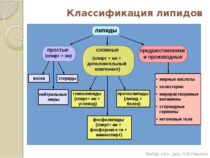 Липиды химическая классификация. Функции липидов схема. Классификация липидов по функциям. Схема липидов биохимия. Классификация липидов биохимия.