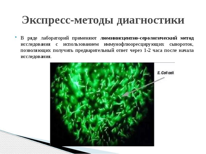 Риф презентация микробиология