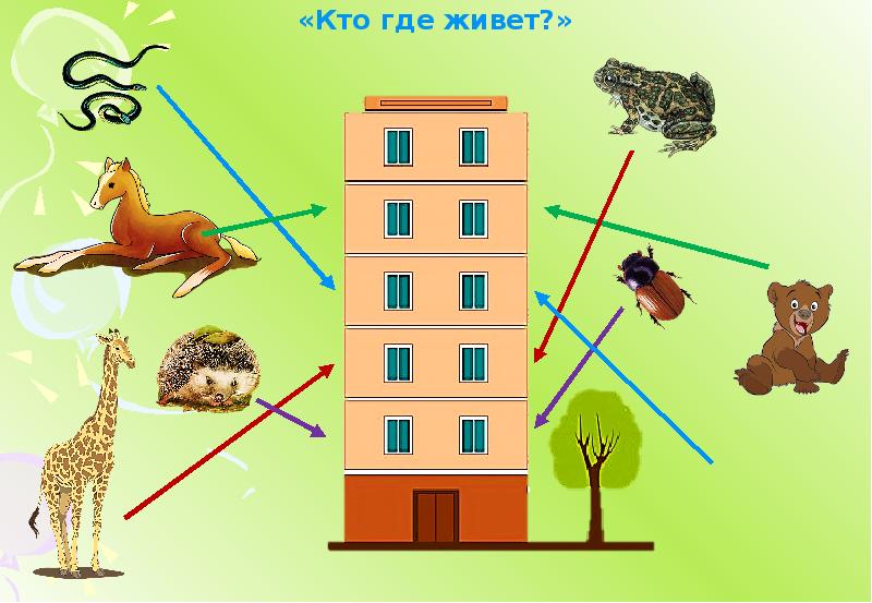 Кому где жить. Автоматизация звука ж в словосочетаниях и предложениях. Где живет звук. Автоматизация звука ж домик с этажами. Где живет звук ж.