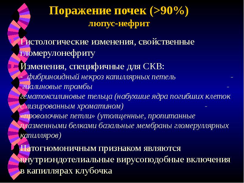 Поражение почек (>90%) люпус-нефрит
Гистологические изменения, свойственные гломерулонефриту
Изменения, специфичные для Поражение почек (>90%) люпус-нефрит
Гистологические изменения, свойственные гломерулонефриту
Изменения, специфичные для