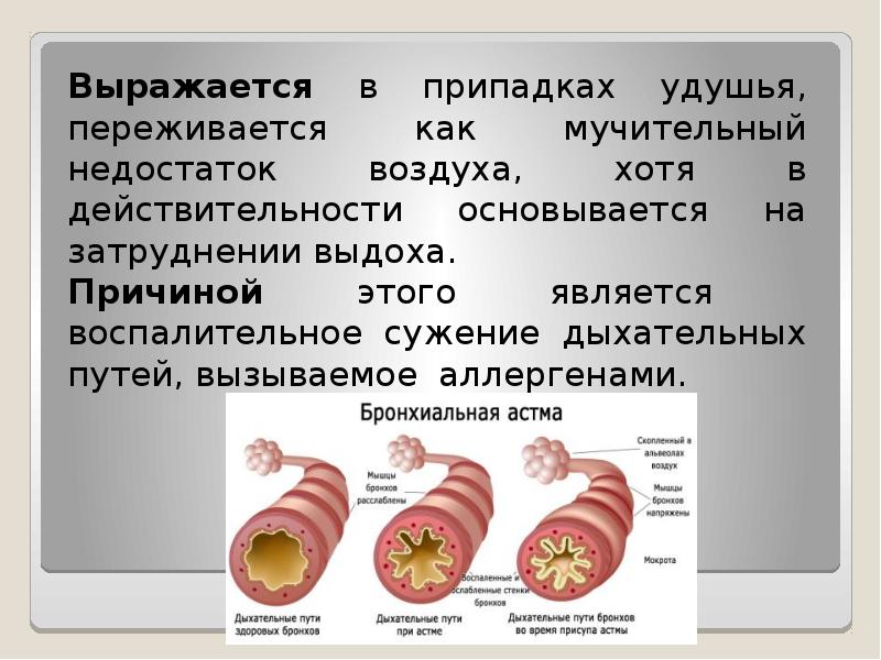 Основы первой помощи при неотложных состояниях презентация