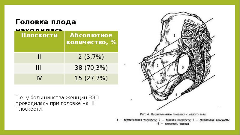 Овальное отверстие у плода находится между. Малый поперечный размер головки плода. Большой поперечный размер головки плода. Плоскости головки плода. Прямой размер головки.