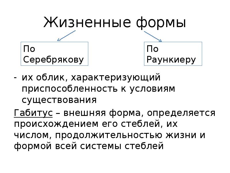 Габитус это простыми словами. Жизненные формы животных. Характеристика покрытосеменных. Габитус растений.