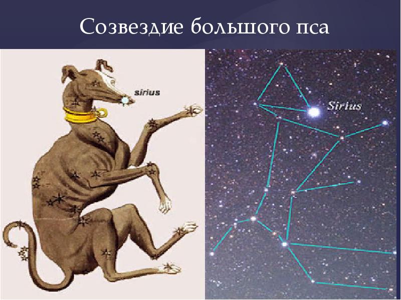 Мифы и легенды звездного неба презентация