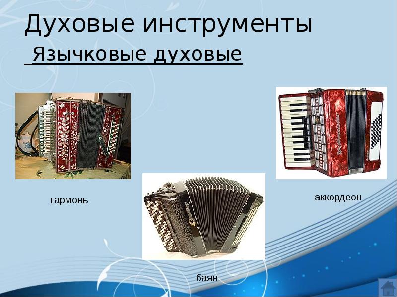 Отличие гармони от баяна и аккордеона. Язычковые музыкальные инструменты. Общее название язычковых инструментов. Общее название язычковых инструментов. Общее название язычковых инструментов.