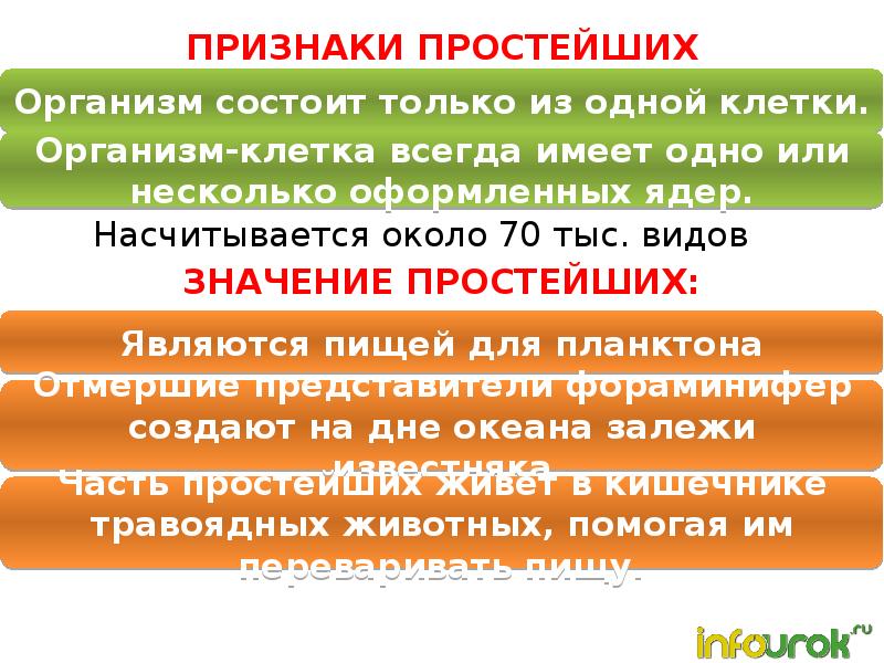 Главные признаки простейших. Признаки простейших.