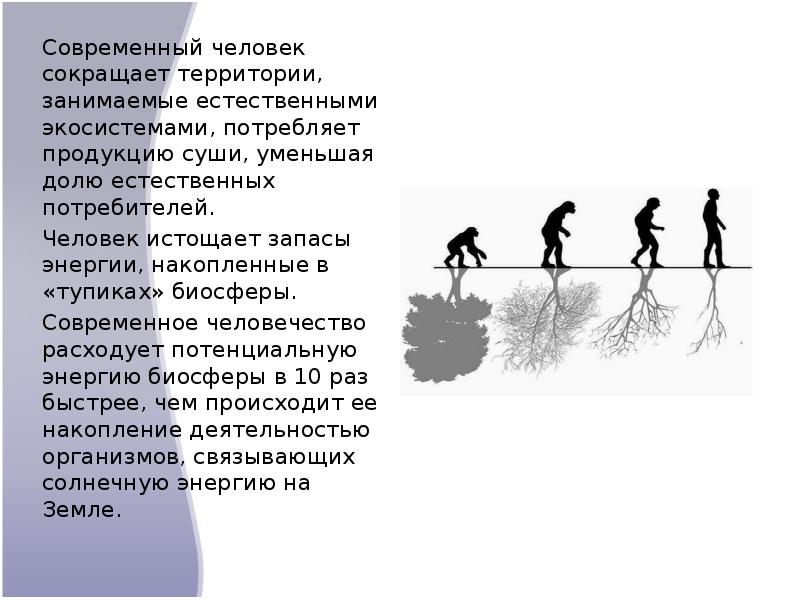 Деятельность современного человека как экологический фактор 11 класс презентация