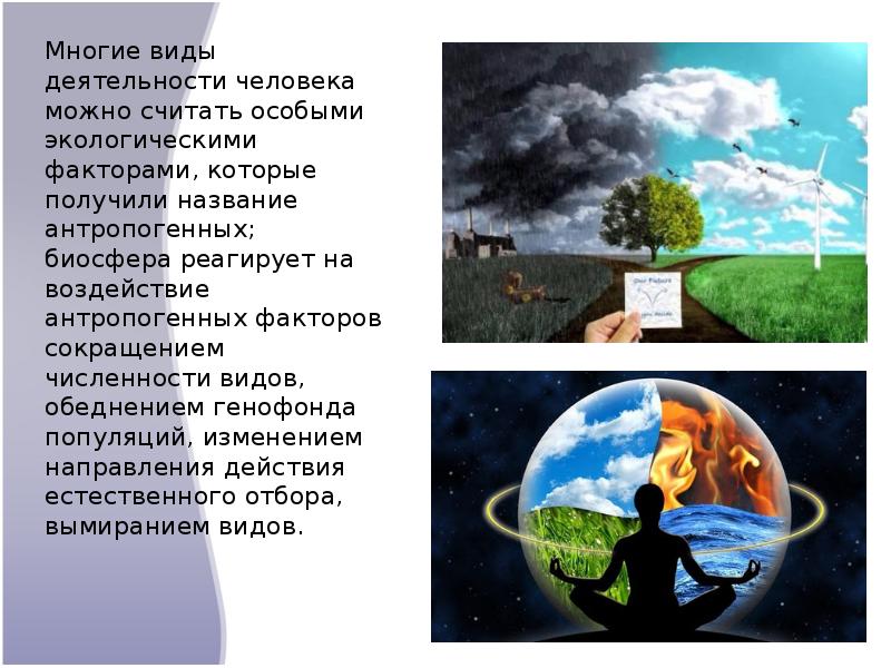 Деятельность современного человека как экологический фактор 11 класс презентация