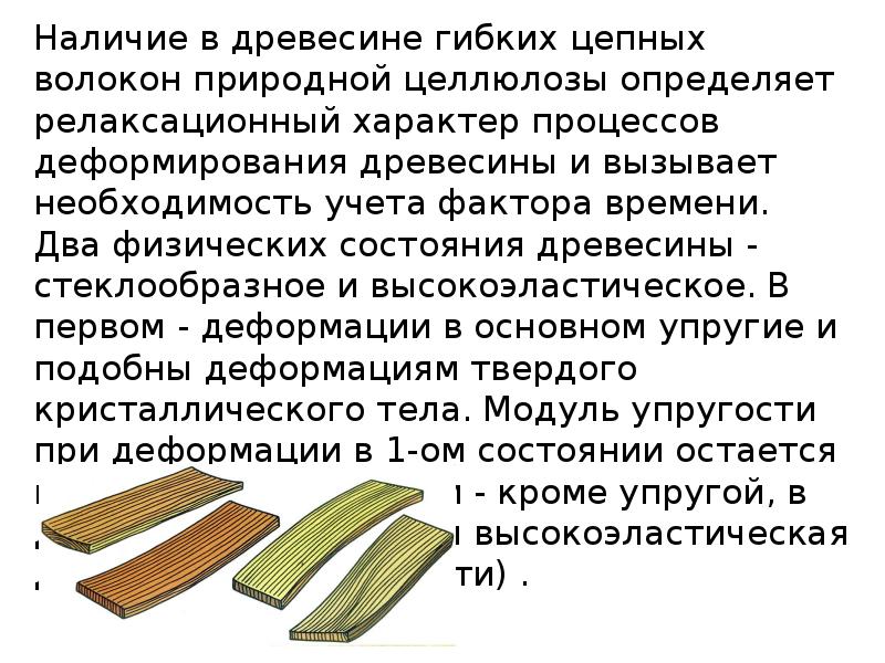 Физика древесины. Дерево физика. Древесина в физике это. Физика древесины учебник.