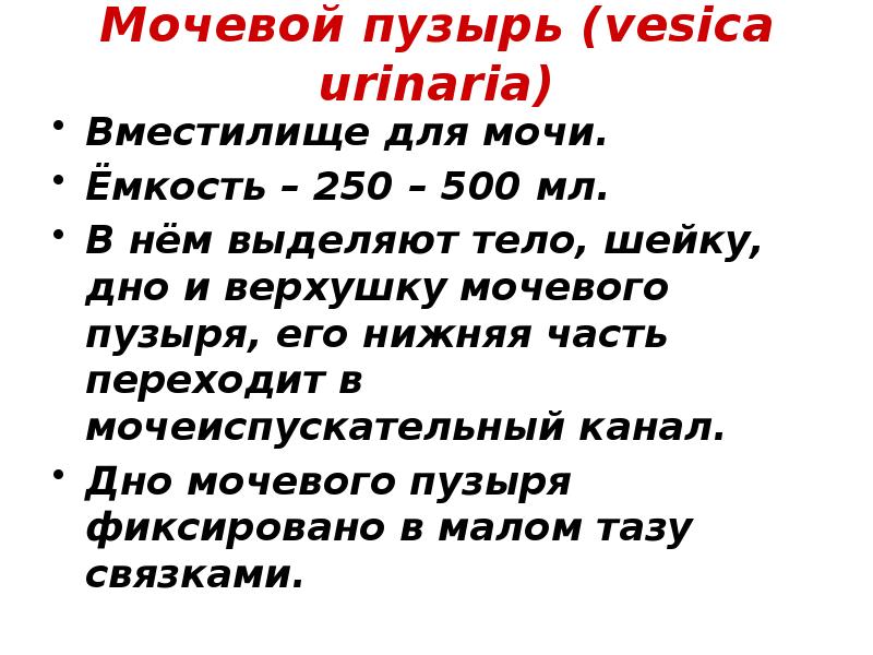 Тела выделяют. Выделительно ограничительная частица. Выделить тела.