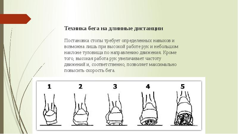 На какой картинке изображена правильная постановка стопы при беге на средние дистанции тест ответы