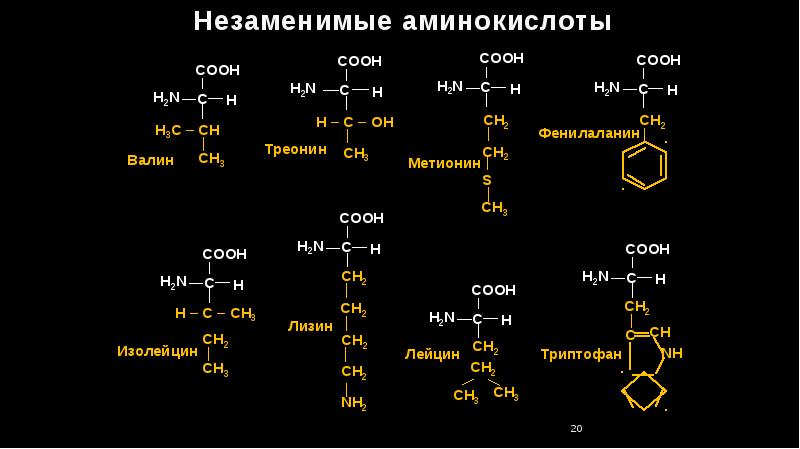 Состав радикалов аминокислот. Незаменимые аминокислоты структурные формулы. Лизин треонин Валин. Структура незаменимых аминокислот. 8 Незаменимых аминокислот формулы.