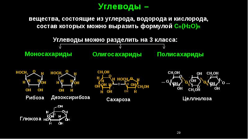 Химический состав клетки углеводы презентация