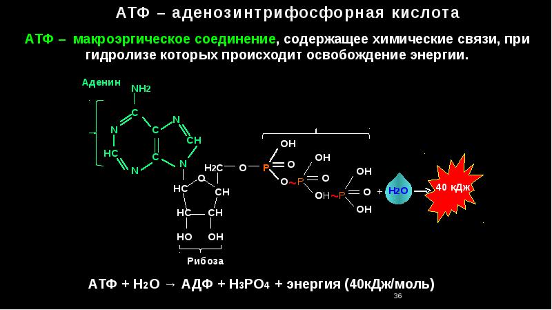 Макроэргические связи в молекуле атф. Строение АТФ типы химических связей. Структурная формула АТФ макроэргические связи. Макроэргическое соединение АТФ. Макроэргические соединения химическое строение.