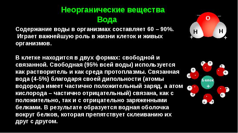 Презентация неорганические вещества клетки вода и минеральные соли