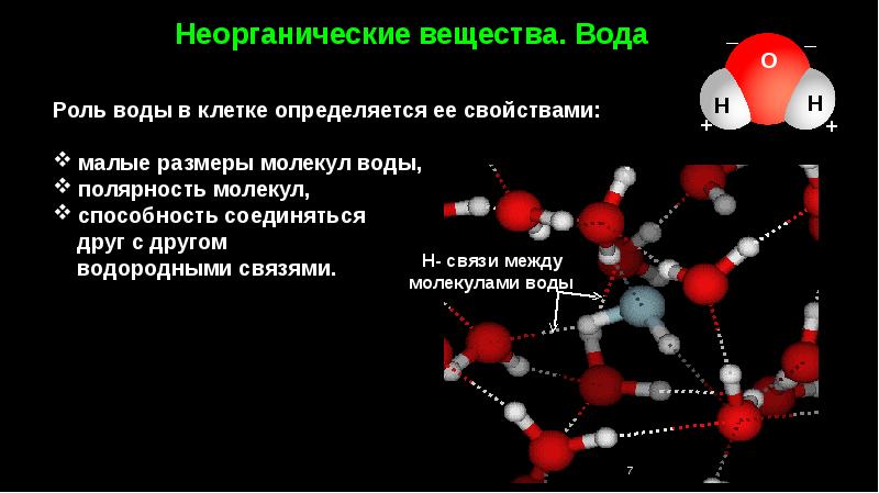 Презентация неорганические вещества клетки