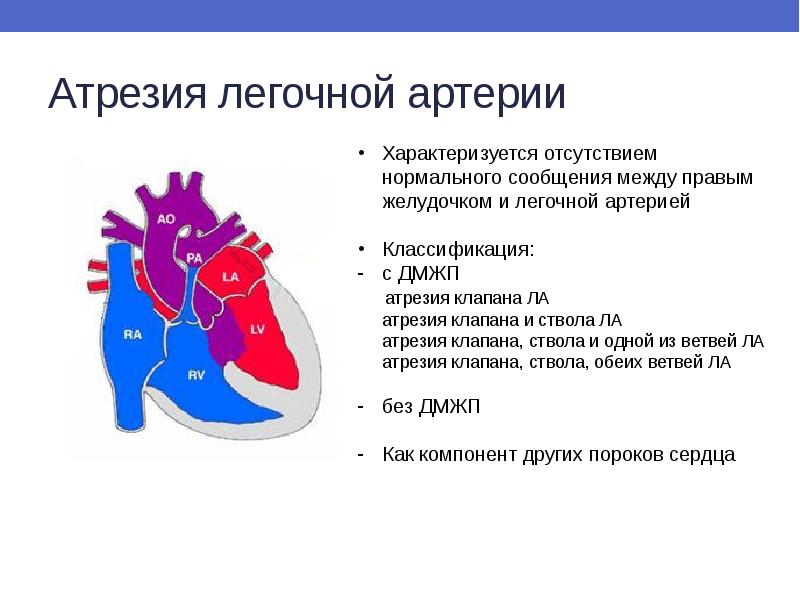 Врожденные пороки сердца презентация терапия