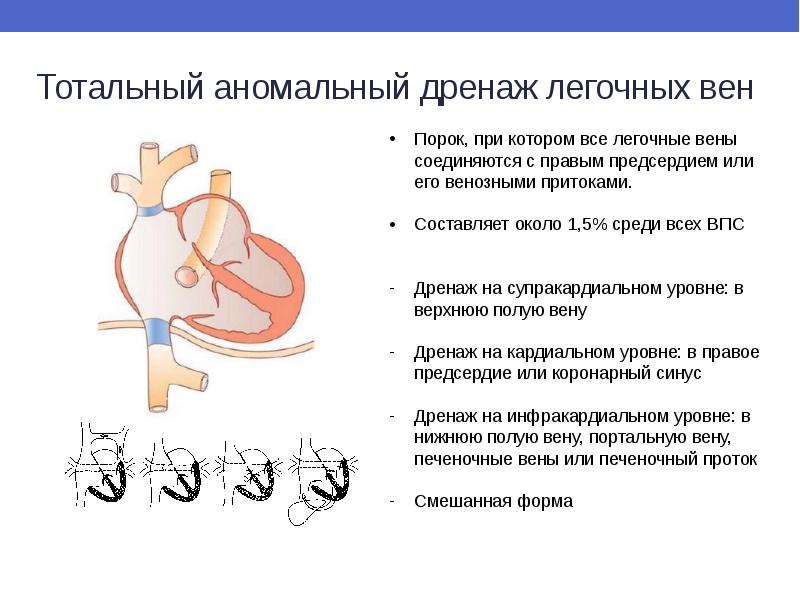 Впс офис презентации