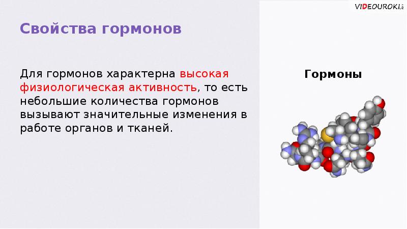 Презентация на тему гормоны химия 10 класс