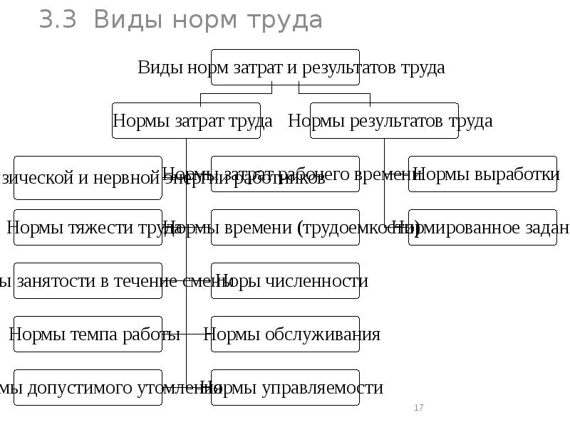 Виды трудовых процессов