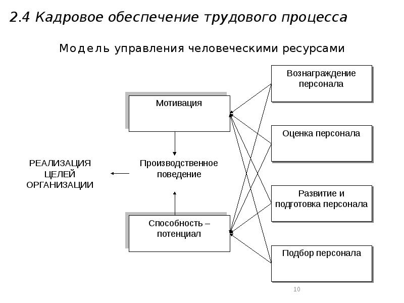 Виды трудовых процессов