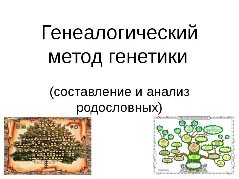 Проект генеалогический метод исследования