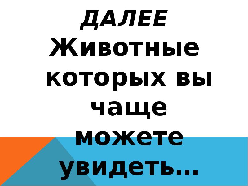 далее
Животные которых вы чаще можете увидеть… далее
Животные которых вы чаще можете увидеть…