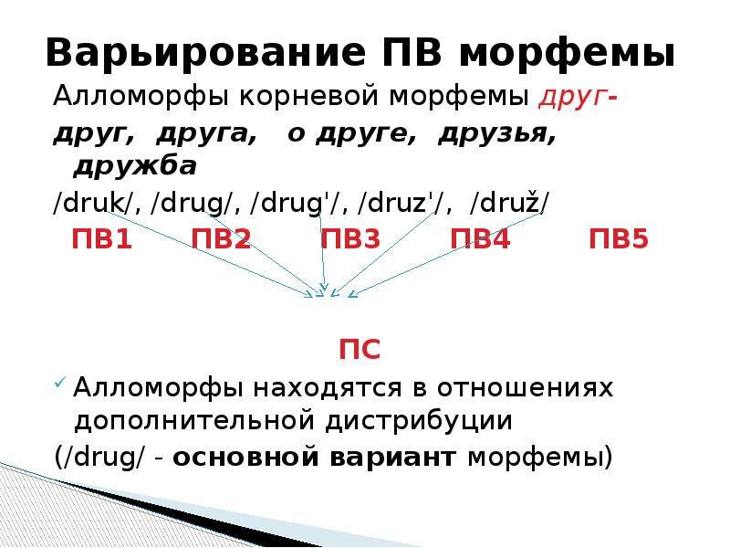 Шерстка морфема