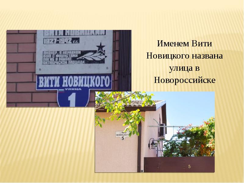 Проект витя новицкий