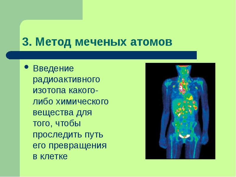 Метод меченых атомов презентация