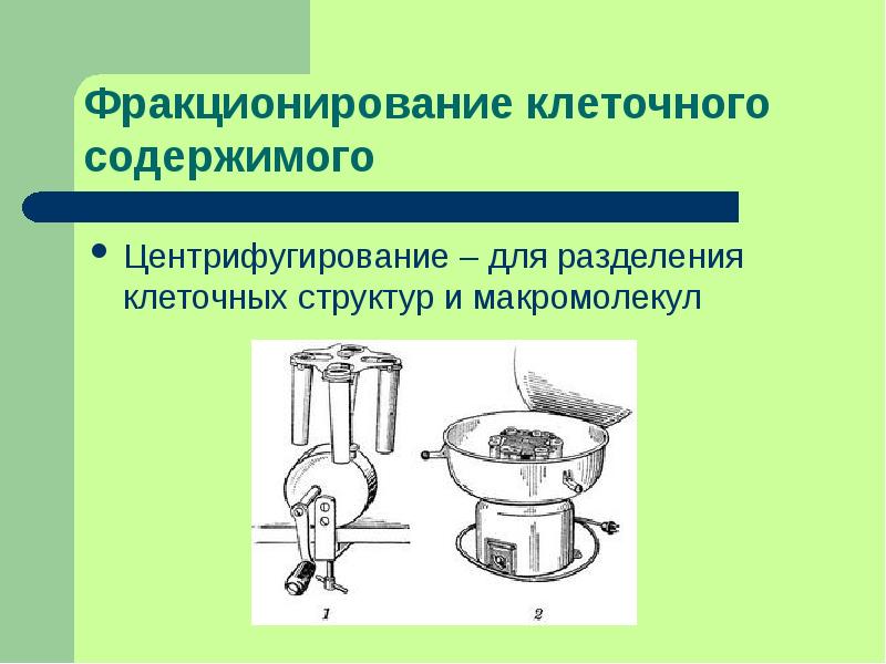 Фракционирование клеточных структур презентация