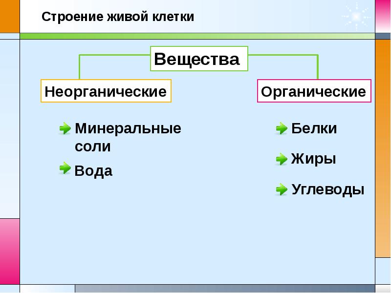 Минеральные соли белки. Органические вещества клетки и Минеральные вещества клетки. Органические и неорганические вещества клетки. К неорганическим веществам клетки относятся. Неорганические Минеральные вещества клетки.