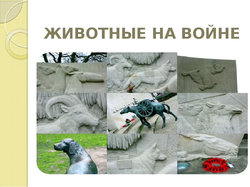 ЖИВОТНЫЕ НА ВОЙНЕ