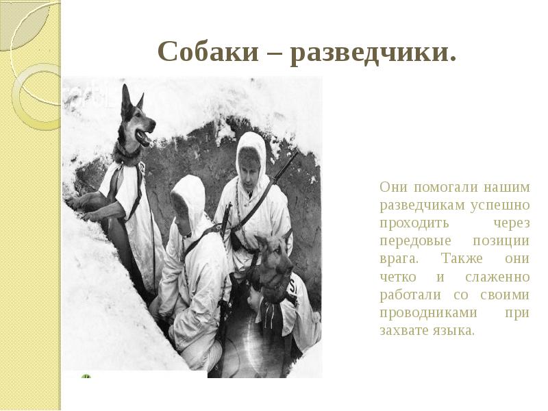 Собаки – разведчики.&nbsp;