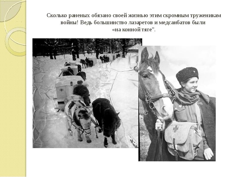Сколько раненых обязано своей жизнью этим скромным труженикам войны! Ведь большинство