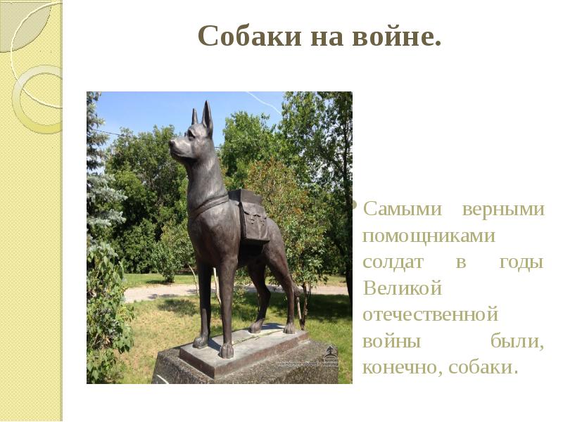 Собаки на войне.