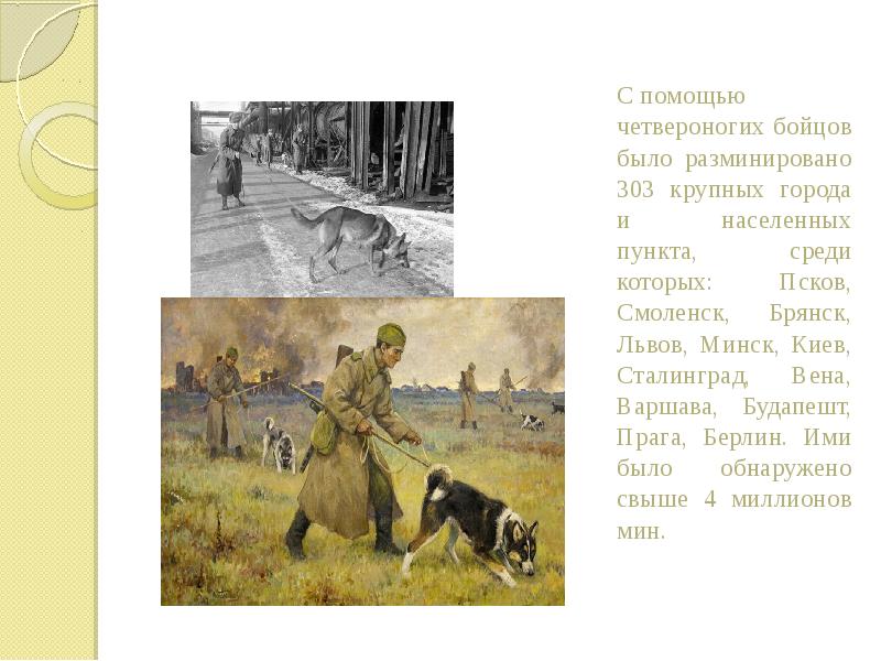 С помощью С помощью четвероногих бойцов было разминировано 303 крупных города