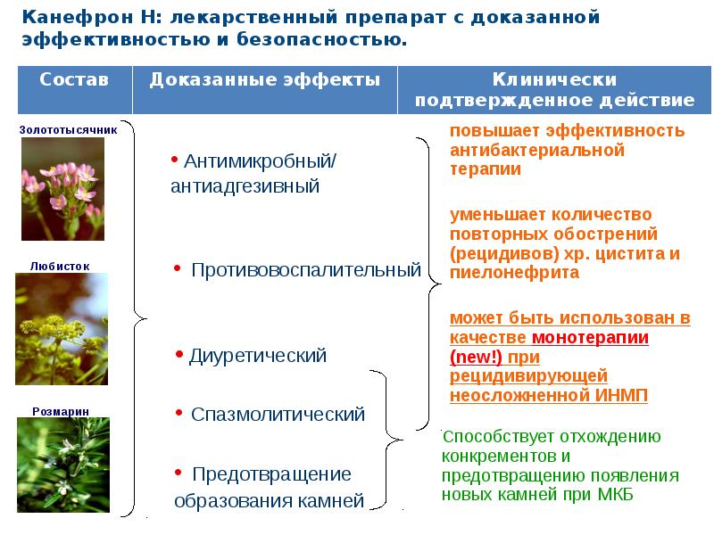 Канефрон при мкб. Препараты с доказанной эффективностью. Средство от цистита у женщин. Канефрон при мкб. Канефрон для почек.