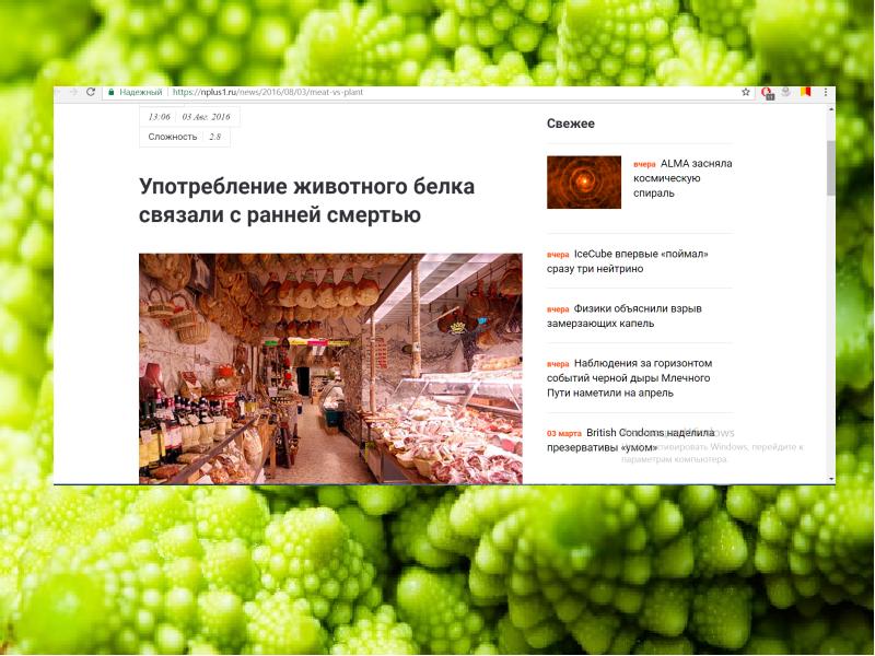 Путь К Здоровью Интернет Магазин В Москве